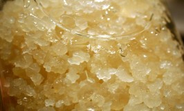 Water Kefir | The Sweet, Soda-Like Type Of Kefir Drink