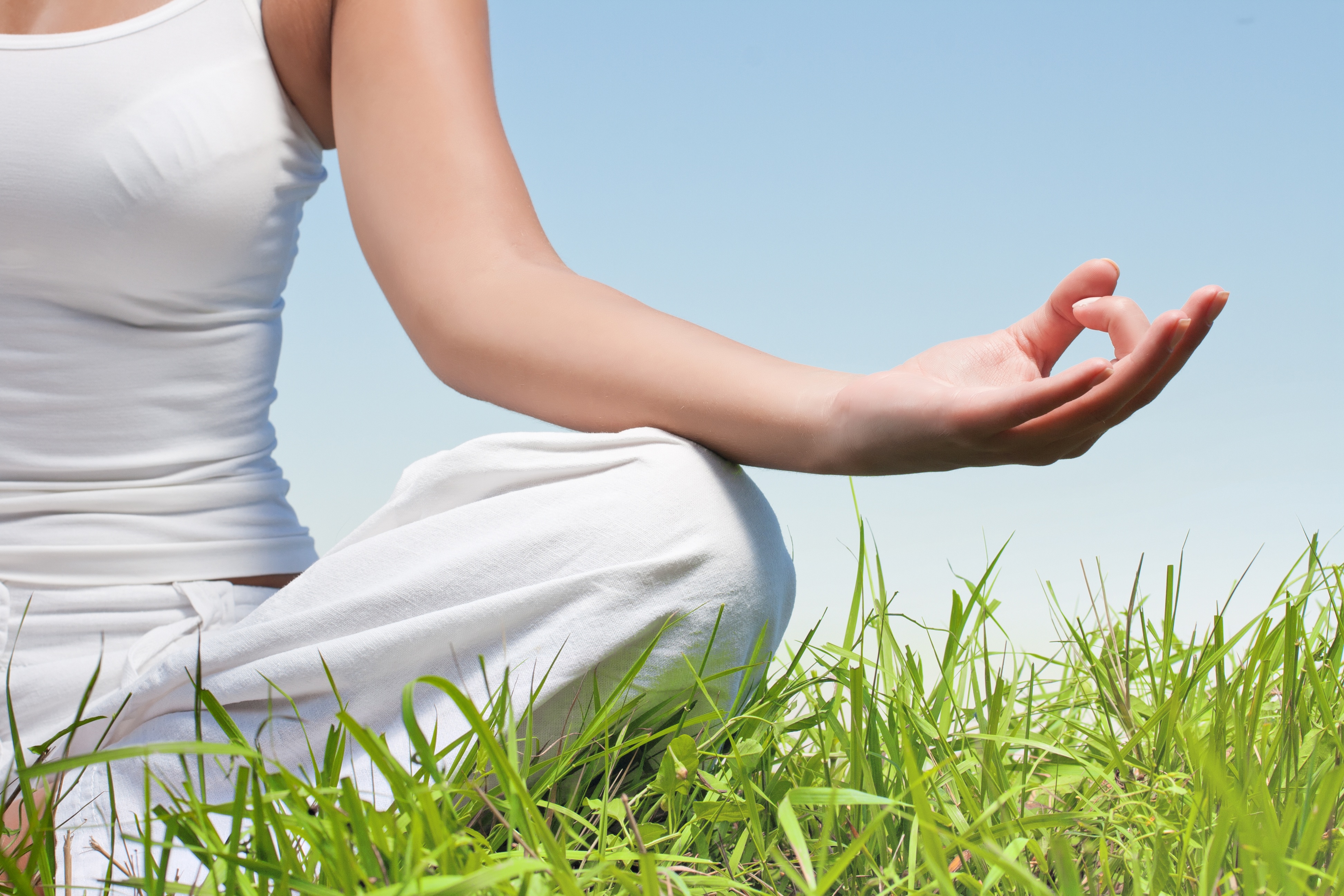 Intro to Ayurvedic Herbs